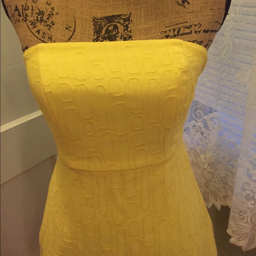 The Limited Sun Dress